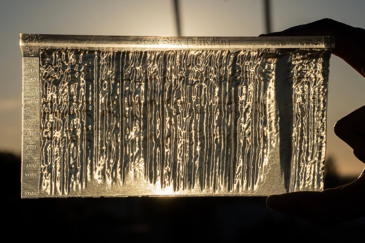 Sólo sexo | Entifan